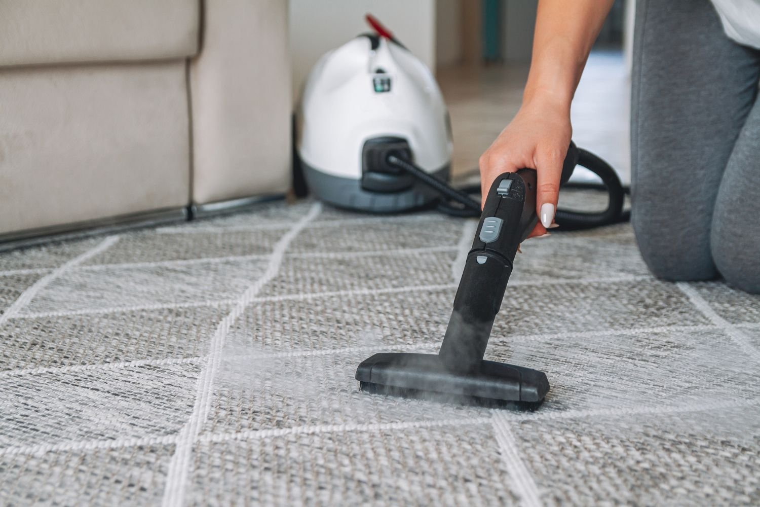 A woman operates a steam cleaner on a carpet, showcasing a cleaning service in Chicago, IL focused on protection and prevention.