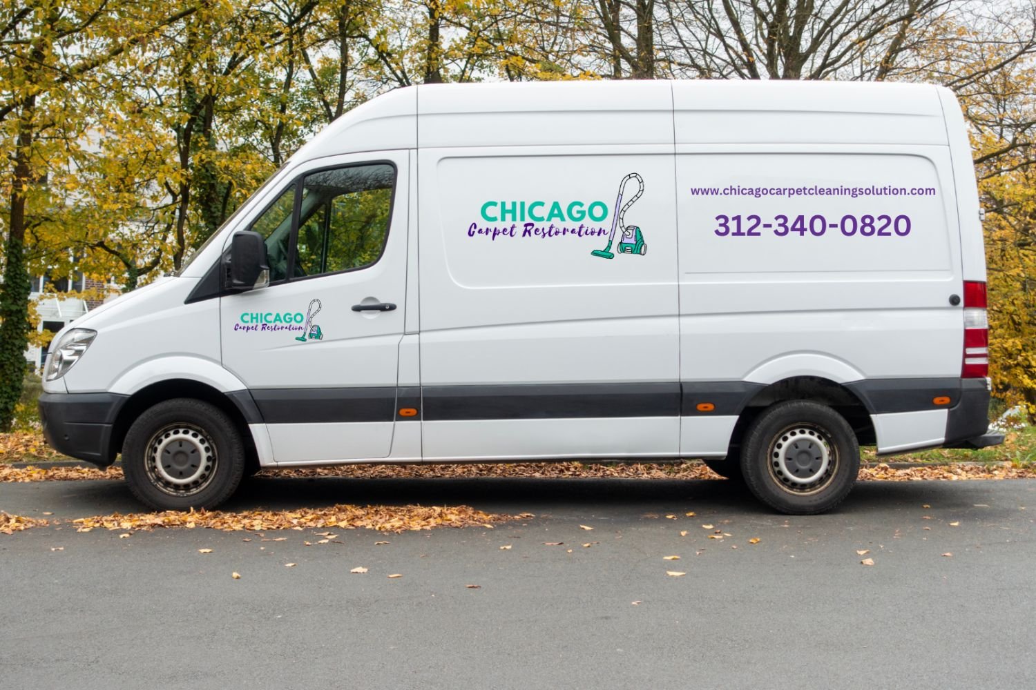 Professional carpet and rug cleaning services provided by a Chicago cleaning company in Chicago, IL.